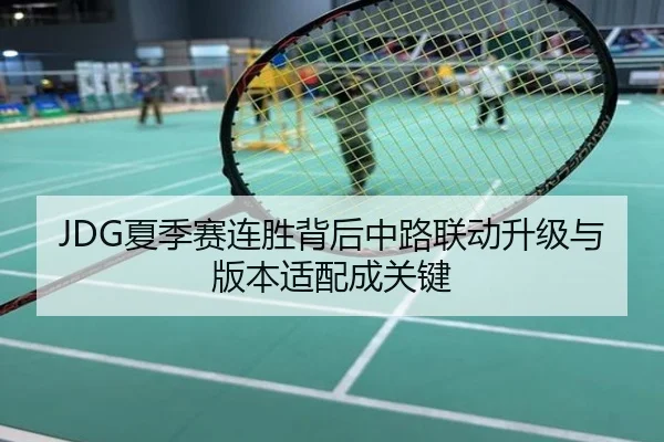JDG夏季赛连胜背后中路联动升级与版本适配成关键